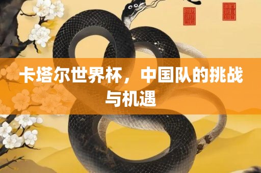 卡塔尔世界杯，中国队的挑战与机遇