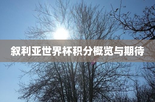 叙利亚世界杯积分概览与期待漯河市盈旭机械设备有限公司