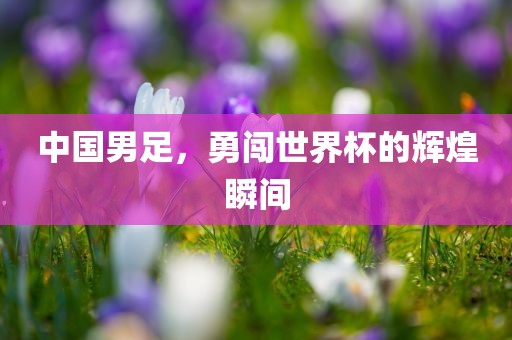 中国男足，勇闯世界杯的辉煌瞬间