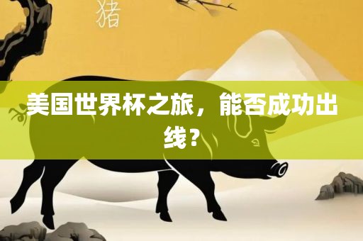 美国世界杯之旅，能否成功出线？