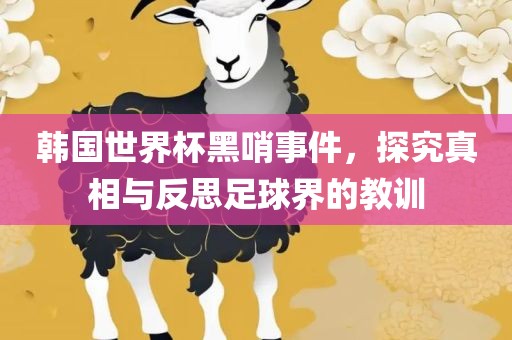 韩国世界杯黑哨事件，探究真相与反思足球界的教训