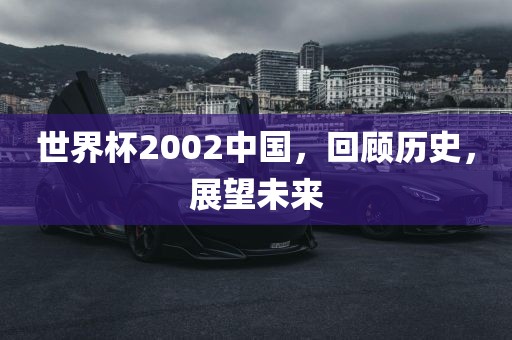 世界杯2002中国，回顾历史，展望未来