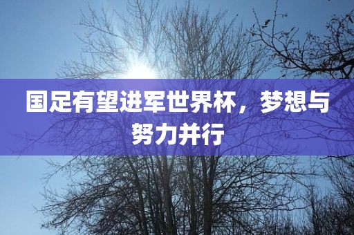 国足有望进军世界杯，梦想与努力并行
