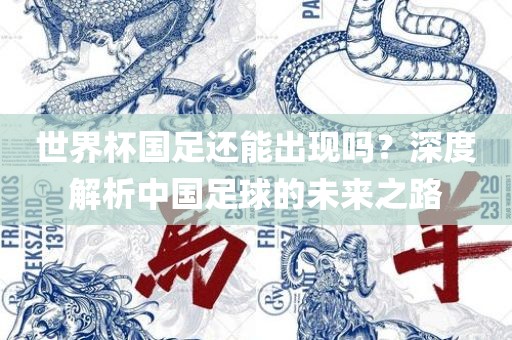 世界杯国足还能出现吗？深度解析中国足球的未来之路
