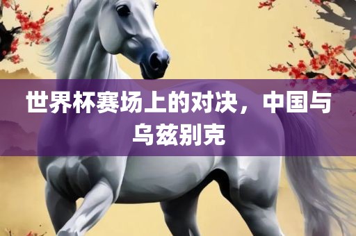 世界杯漯河市盈旭机械设备有限公司赛场上的对决，中国与乌兹别克