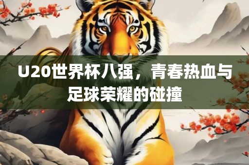 U20世界杯八强，青春热血与足球荣耀的碰撞