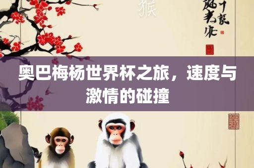 奥巴梅杨世界杯之旅，速度与激情的碰撞