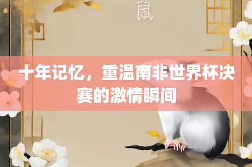 十年记忆，重温南非世界杯决赛的激情瞬间