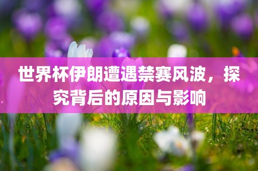 judong 第5页