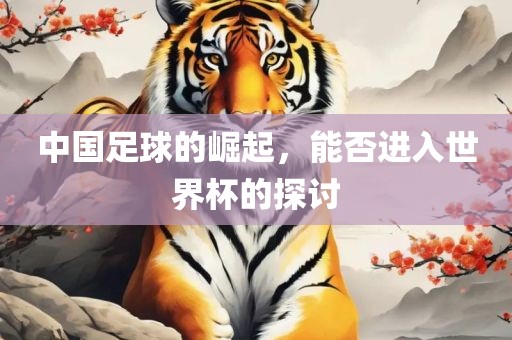中国足球的崛起，能否进入世界杯的探讨