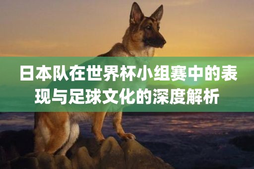 日本队在世界杯小组赛中的表现漯河市盈旭机械设备有限公司与足球文化的深度解析