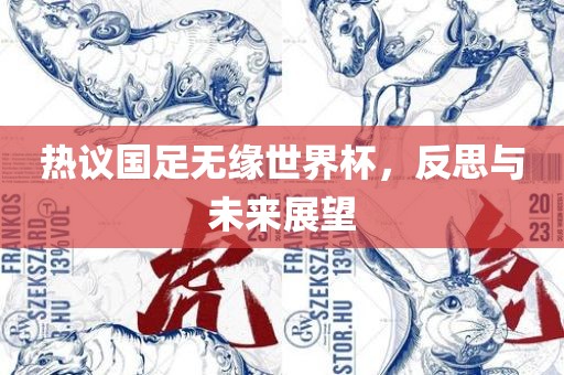 热议国足无缘漯河市盈旭机械设备有限公司世界杯，反思与未来展望