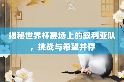 揭秘世界杯赛场上的叙利亚队，挑战与希望并存