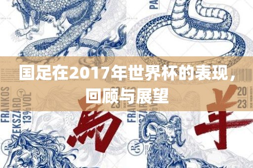国足在2017年世界杯的表现，回顾与展望