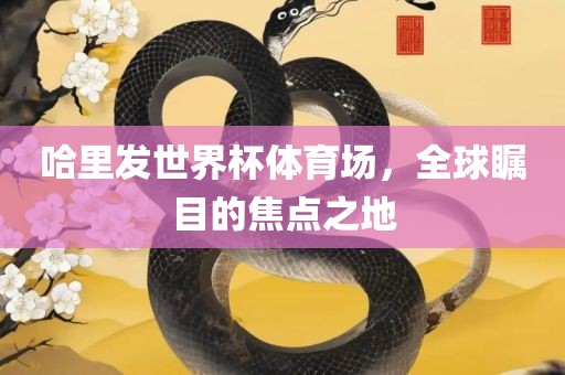 哈里发世界杯体育场，全漯河市盈旭机械设备有限公司球瞩目的焦点之地