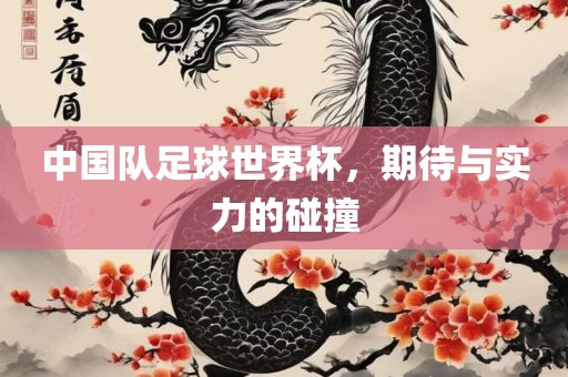 中国队足球世界杯，期待与实力的碰撞漯河市盈旭机械设备有限公司