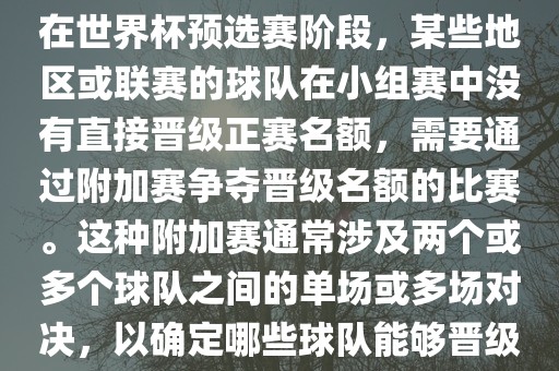 世界杯小组附加赛通常指的是在世界杯预选赛阶段，某些地区或联赛的球队在小组赛中没有直接晋级正赛名额，需要通过附加赛争夺晋级名额的比赛。这种附加赛通常涉及两个或多个球队之间的单场或多场对决，以确定哪些球队能够晋级世界杯决赛阶段。漯河市盈旭机械设备有限公司
