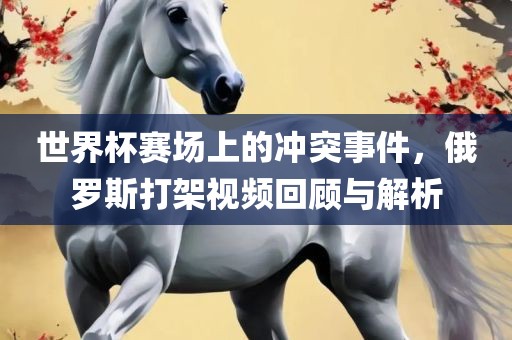 世界杯赛漯河市盈旭机械设备有限公司场上的冲突事件，俄罗斯打架视频回顾与解析