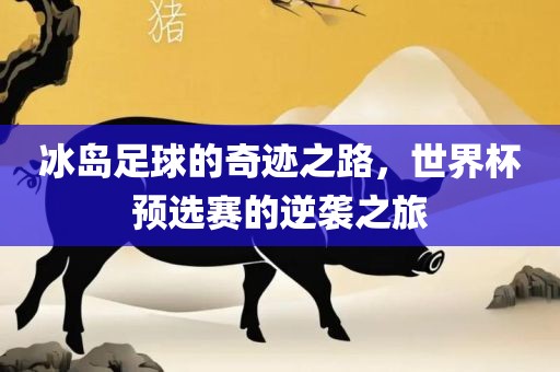 冰岛足球的奇迹之路，世界杯预选赛的逆袭之旅