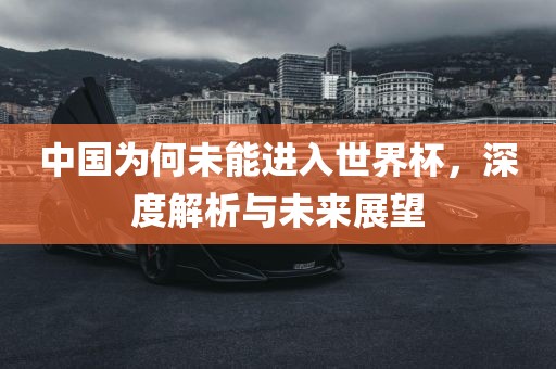 中国为何未能进入世界杯，深度解析与未来展望