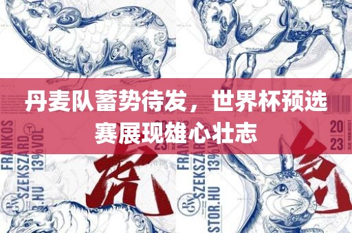 丹麦队蓄势待发，世界杯预选赛展现雄心壮志