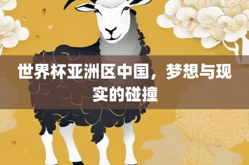 世界杯亚洲区中国，梦想与现实的碰撞