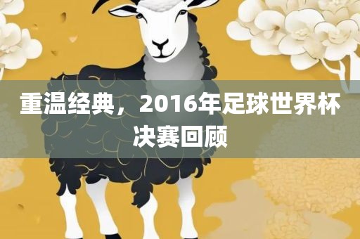 重温经典，2016年足球世界杯决赛回顾