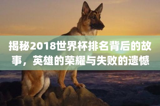 揭秘2018世界杯排名背后的故事，英雄的荣耀与失败的遗憾