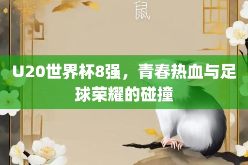 U20世界杯8强，青春热血与足球荣耀的碰撞