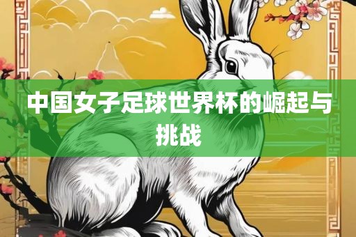 中国女子足球世界杯的崛起与挑战漯河市盈旭机械设备有限公司