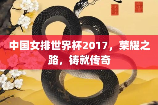 中国女排世界杯2017，荣耀之路，铸就传奇