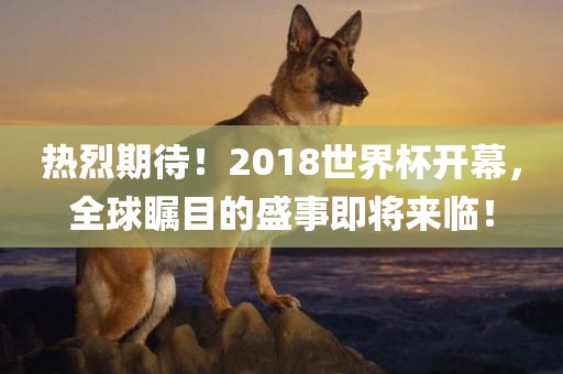 热烈期待！2018世界杯开幕，全球瞩目的盛事即将来临！漯河市盈旭机械设备有限公司