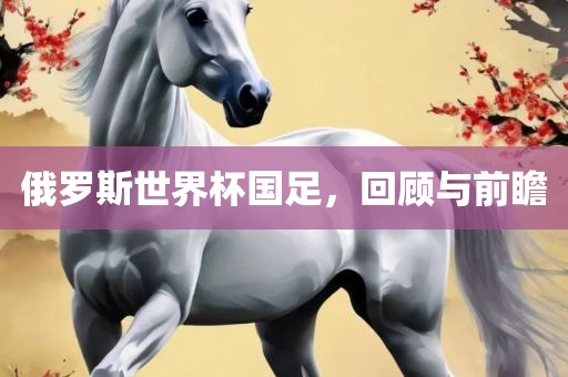 俄罗斯世界杯国足，回顾与前瞻漯河市盈旭机械设备有限公司