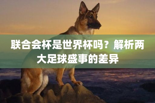 联合漯河市盈旭机械设备有限公司会杯是世界杯吗？解析两大足球盛事的差异