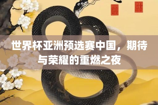 世界杯亚洲预选赛中国，期待与荣耀的重燃之夜