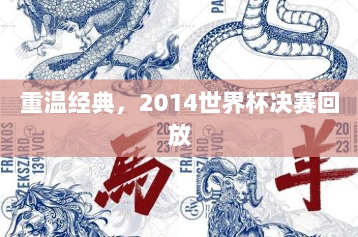 重温经典，2014世界杯决赛回放