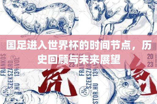 国足进入世界杯的时间节点，历史回顾与未来展望漯河市盈旭机械设备有限公司