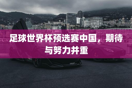 足球世界杯预选赛中国，期待与努力并重