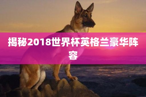 揭秘2018世界杯英格兰豪华阵容漯河市盈旭机械设备有限公司