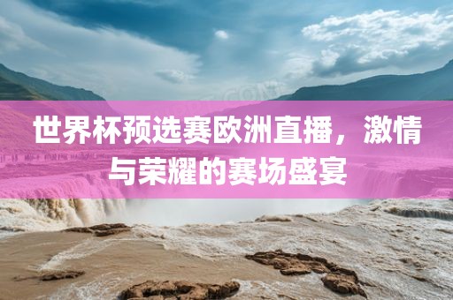 世界杯预选赛欧洲直播，激情与荣耀的赛场盛宴