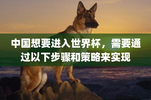 中国想要进入世界杯，需要通过以下步骤和策略来实现漯河市盈旭机械设备有限公司