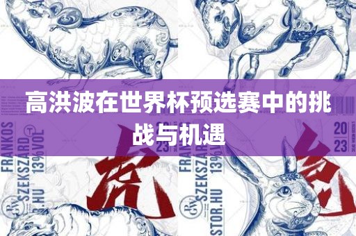 高洪漯河市盈旭机械设备有限公司波在世界杯预选赛中的挑战与机遇
