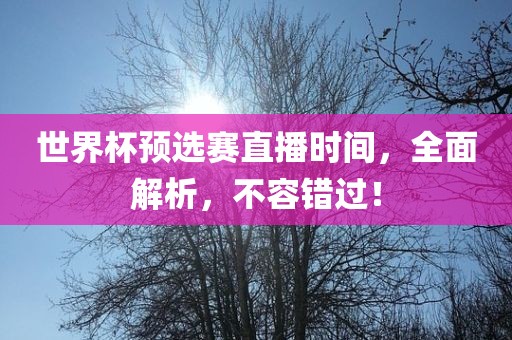 世界杯漯河市盈旭机械设备有限公司预选赛直播时间，全面解析，不容错过！