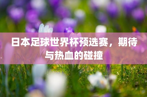 日本足球世界杯预选赛，期待与热血的碰撞