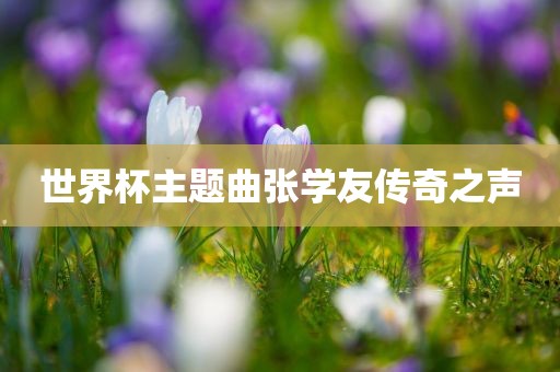 世界杯主题曲张学友传奇之声