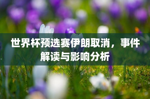 世界杯预选赛伊朗取消，事件解读与影响分析漯河市盈旭机械设备有限公司