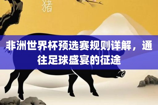 非洲世界杯预选赛规则详解，通往足球盛宴的征途漯河市盈旭机械设备有限公司