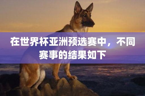 在世界杯亚洲预选赛中，不同赛事的结果如下