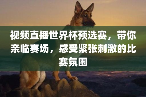 视频直播世界杯预选赛，带你亲临赛场，感受紧张刺激的比赛氛围