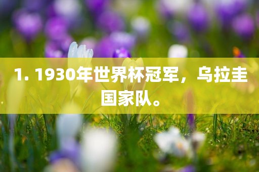 1. 1930年世界杯冠军，乌拉圭国家队。